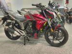 ⁦موتوسيكل هوجن اف 250 ابوحوا بقدرة 250 سي سي F 250⁩ - الصورة ⁦2⁩