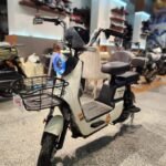 سكوتر كهربائي فيجوري آبو بقدرة 450 وات VIGOREY APO 450