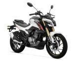 ⁦موتوسيكل كيواي RKV 250 CC – KEEWAY RKV 250 CC | وحش الطريق⁩ - الصورة ⁦5⁩